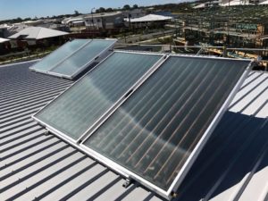 Solar hot water systems panels on a metal roof in Bribie Island, capturing sun for efficient hot water.